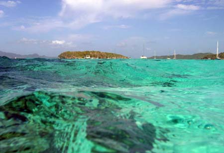 Reef at Tobago Cays, SVG