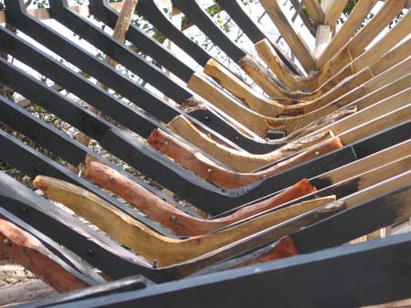 ribs of a traditional boat being built on the beach