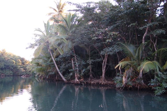 Indian River, Dominica