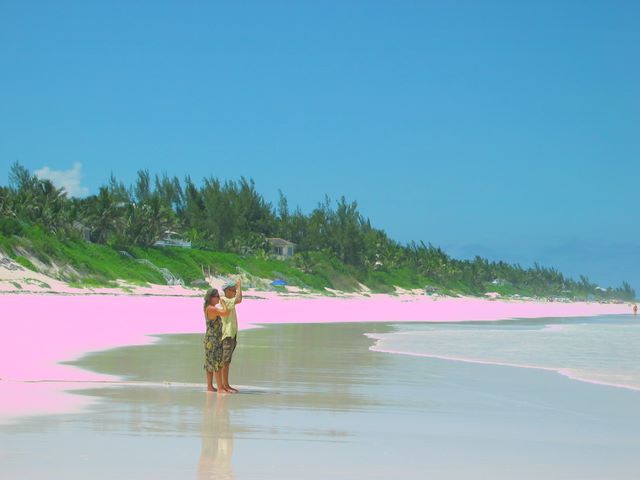Bob and Sharon (S/V Wee Beastie) on pink sand beach, Harbor Island, Bahamas