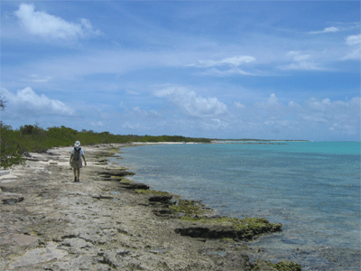 Susie walking toward Spanish Point, Barbuda