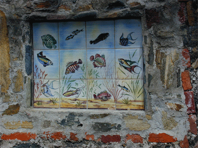 Tiles in the ruins above Little Harbor, Peter Island, BVI