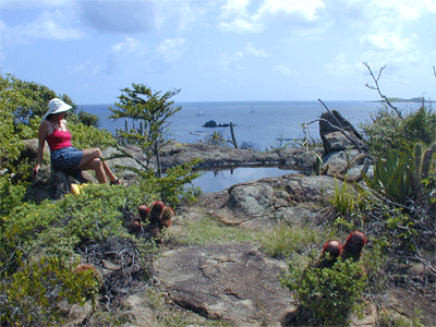 Pool on Mosquito Island, BVI