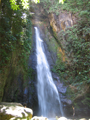 Syndicate Falls, Dominica