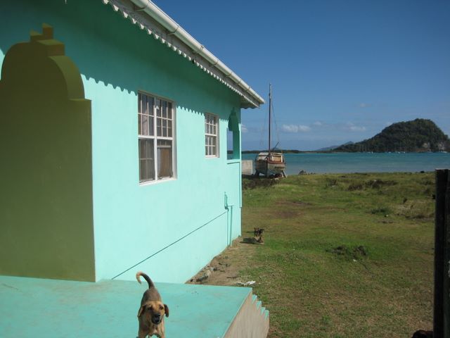 Dog, house, boat and rock, Ashton, Union Island, SVG