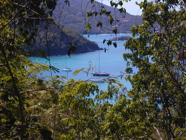 View from Maho Camp, St. John USVI