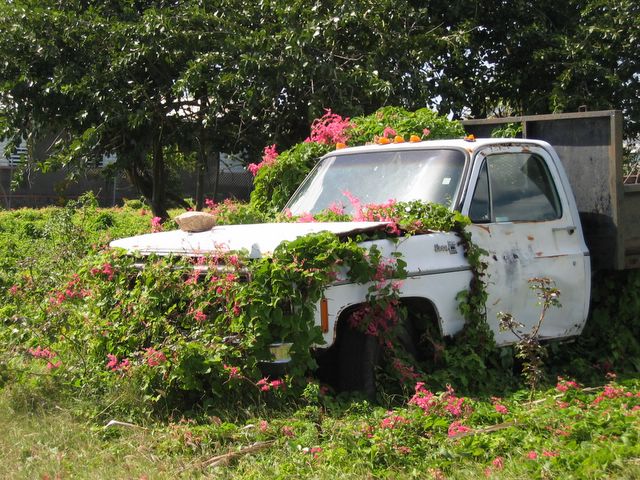 Jungle Recycling in Nevis