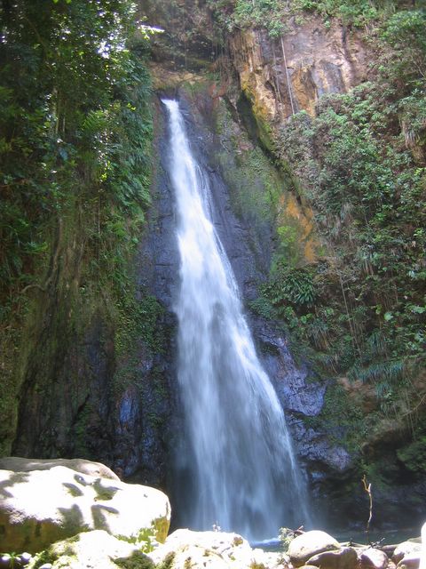 Syndicate Falls Dominica 