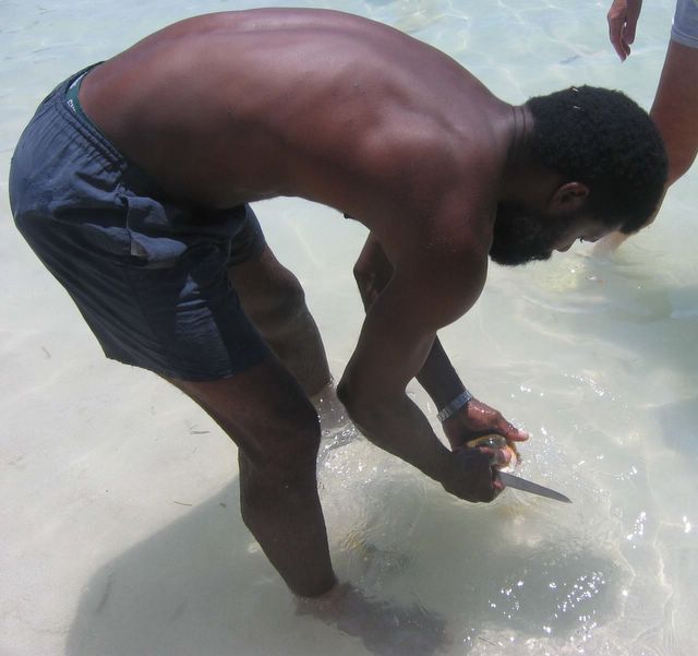 Cleaning Conch Bird Island, Antigua