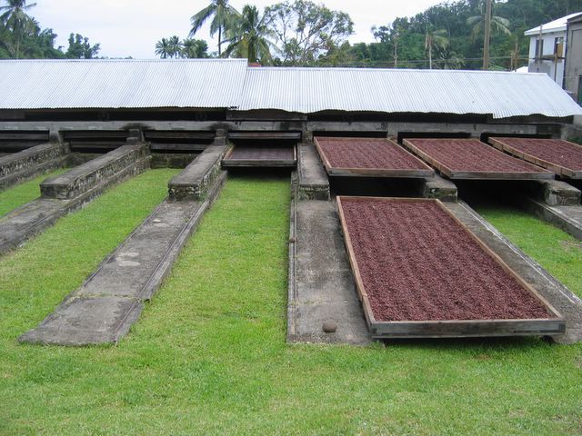 Chocolate Drying Shed, Grenada 