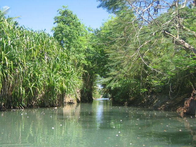 Dinghy through the Mangroves, Guadeloupe