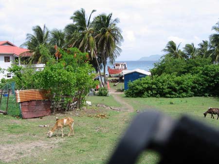 building boats on the beach at Petite Martinique