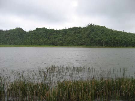 Etange, fresh water for Grenada