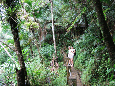 Susie and Emma on a trail in the rainforest