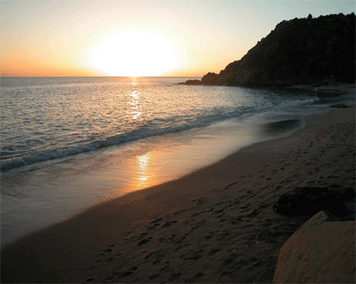 Sunset over shell beach