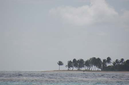 Petite Tabac, Tobago Cays, SVG