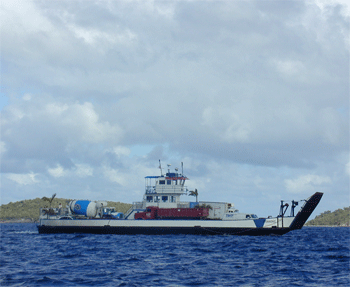 St. Thomas ferry with Palm trees