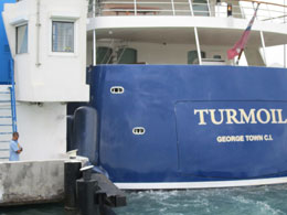 Turmoil at the Dutch Bridge