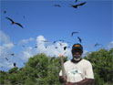 George of Garden of Eden at the frigate bird colony