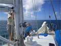 Deploying the staysail 