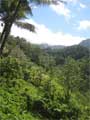 Dominica, the Nature Island