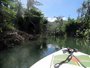 Up the Indian River (4 mo post Maria)